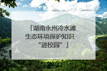 湖南永州冷水滩生态环境保护知识“进校园”